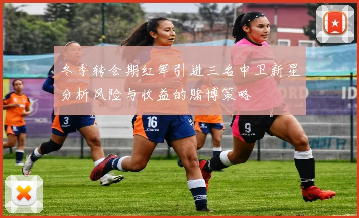 冬季转会期红军引进三名中卫新星分析风险与收益的赌博策略